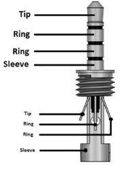 Dual analog jack